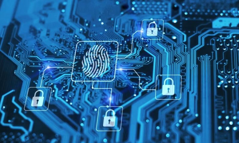 瑞金市软件开发公司